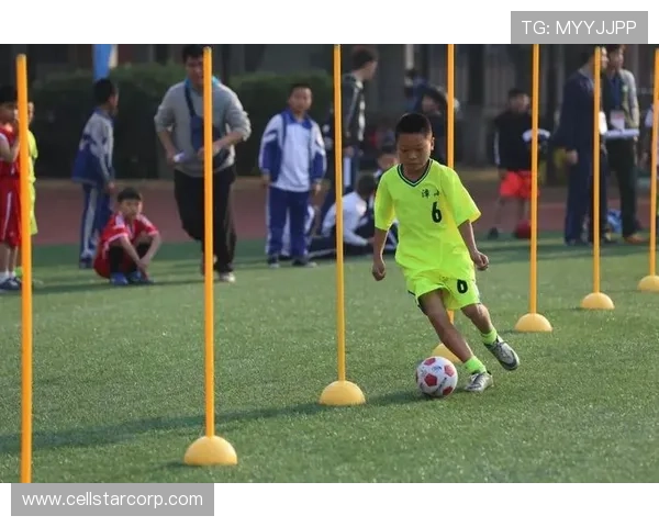 多米体育足球官网如何快速注册账号享受全方位足球服务体验