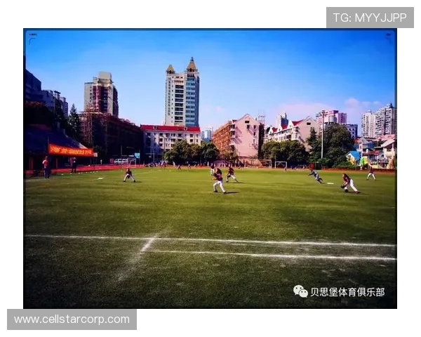 快鱼体育助力青少年健康成长的全面发展方案解析