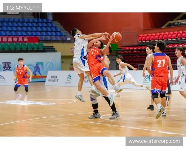 全面解析333体育电脑版官网的功能特色，帮助用户轻松掌握体育赛事信息与互动体验平台