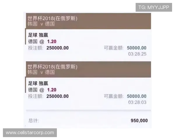 买球app十大排行全景解读，助力体育迷在世界杯期间选择优质投注平台