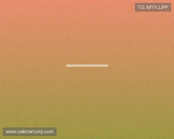 乐鱼体育电脑版官网提供最新世界杯比赛资讯与实时直播平台介绍